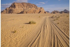 Чему могут научить сорок лет в пустыне