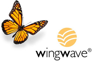 Show img wingwave 01