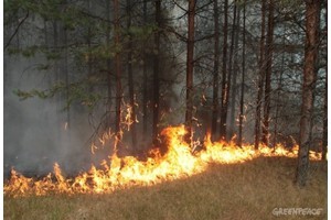 «Людям не хватает настоящего большого дела»