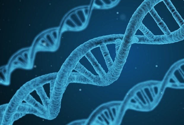 Энтузиаст попросил «помощь зала» для расшифровки генома