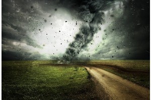 13 вредных советов, как убить свой бизнес