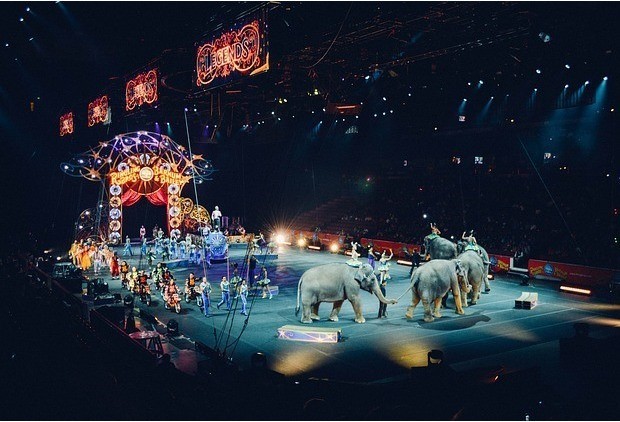 Как заставить слона танцевать, или Чему экспат из Cirque du Soleil может научить российский стартап?