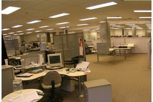 Коллеги: как бороться с офисными вредителями