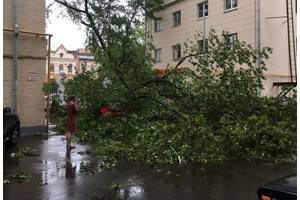 11 человек погибли в результате урагана в Москве