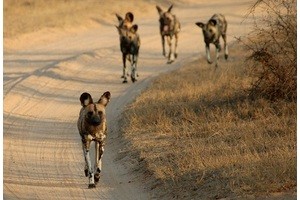 Где самые плохие дороги в мире