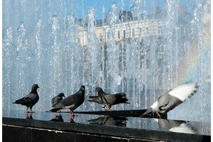 Рабочая неделя в России будет короткой