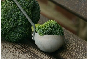 Mini broccoli 1974801 960 720