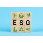 Как использовать индикатор ESG для оценки эффективности бизнеса