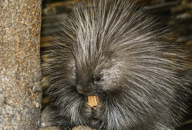У дураков мысли сходятся. Решение кейса