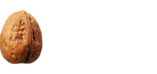 RichartsMeyer