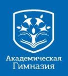 Академическая Гимназия, НОУ СОШ