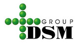 DSM Group