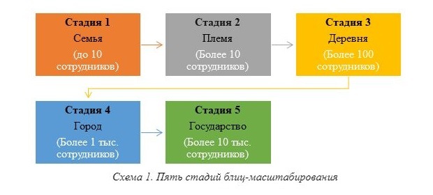 стадии роста