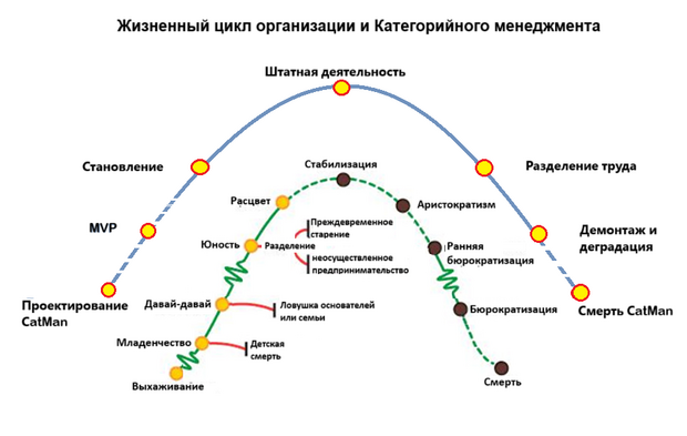 жизненный цикл категорийного менеджмента