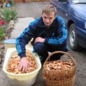 Дмитрий Афанасьев