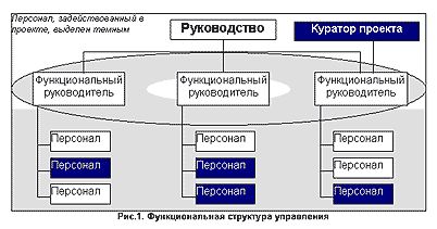 Организационные структуры функционального типа.jpg
